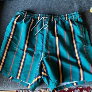 Men's swim trunks